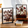 Deep Shadow Box Frame for 3D Displays - Wooden Tabletop Keepsake Case