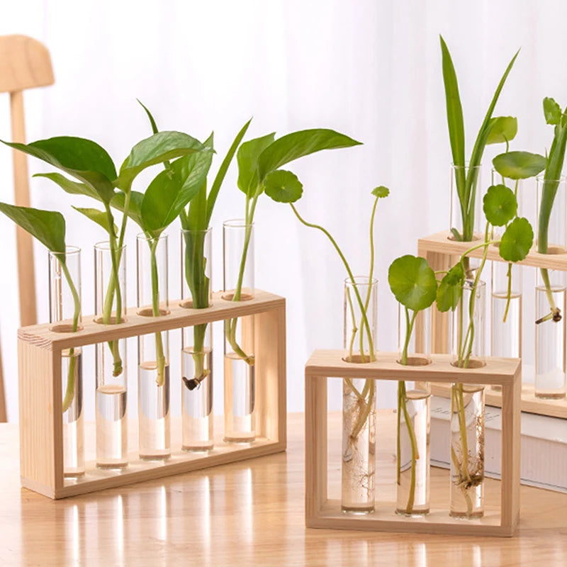 A wooden planter rack holds glass test tube vases with green plants growing in water.