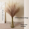 A bouquet of 9 natural beige pampas grass branches in a clear glass vase.