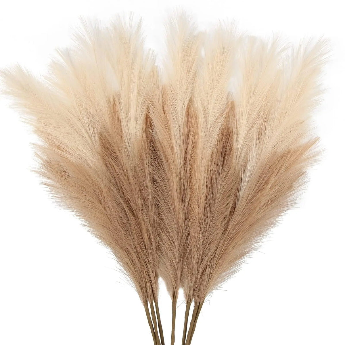 Dried artificial pampas grass branches in a light beige color used for boho home and wedding decor