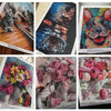 A collection of 5D diamond painting portraits featuring cats and flowers.