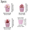 Three small pink succulent plants in square pots for home decor