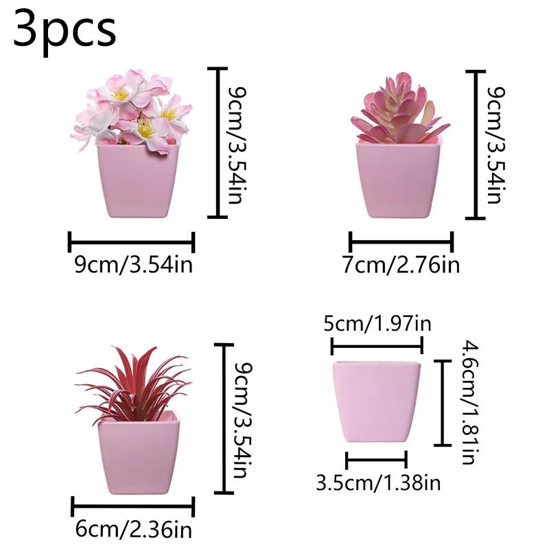 Three small pink succulent plants in square pots for home decor