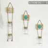 Three decorative glass terrariums with wooden frames and starfish or seashell charms for indoor plants
