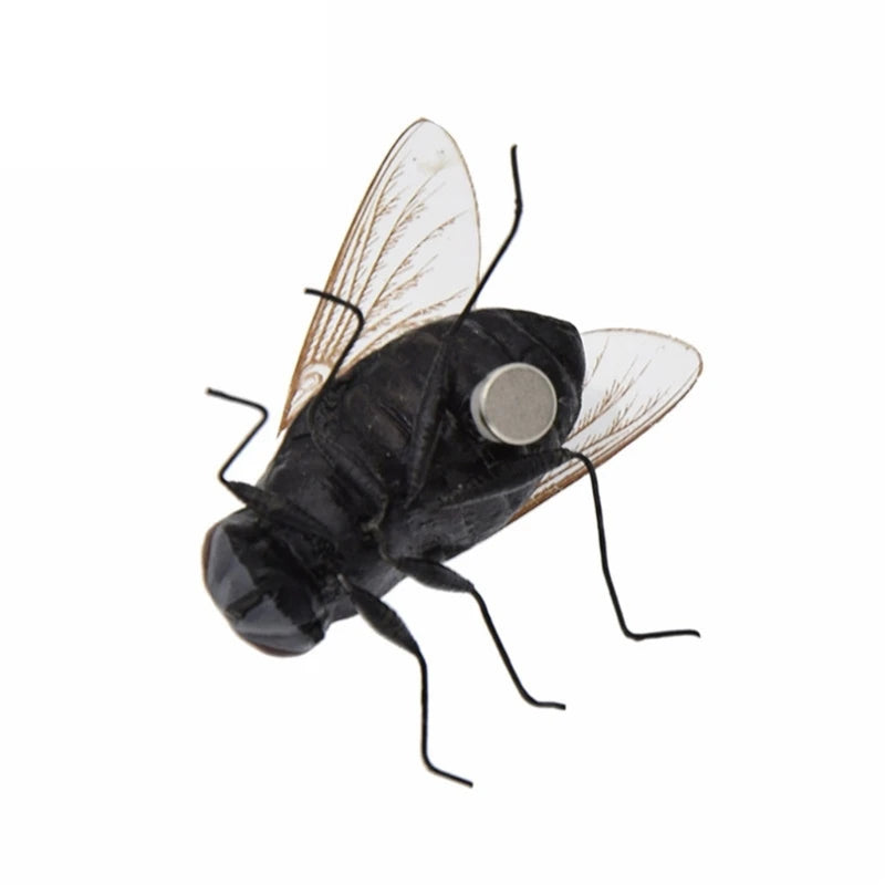A black insect specimen with translucent wings and a silver eye, used as a 3D refrigerator magnet.
