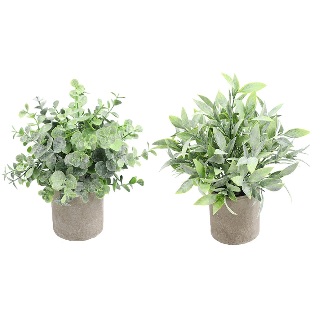 A potted mini eucalyptus plant with silvery-green leaves in a rustic gray ceramic pot.