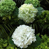Lifelike Latex Hydrangea Stems for Weddings & Home Decor (Set of 4)