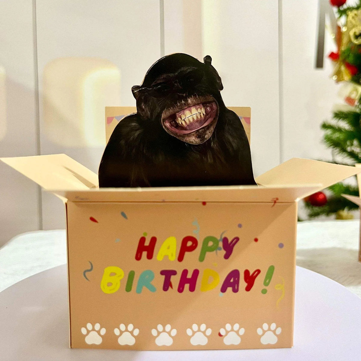 A humorous 3D pop-up birthday card in a cardboard box featuring a black bear figure.