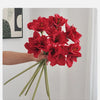 A hand holds a bouquet of vibrant red artificial clivia amaryllis flowers against a white background.