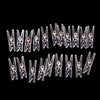 A row of one hundred mini clear plastic spring clips for photos, papers, and crafts.