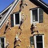 A close-up of a yellow wooden house exterior featuring several poseable human skeleton decorations mounted on the siding.