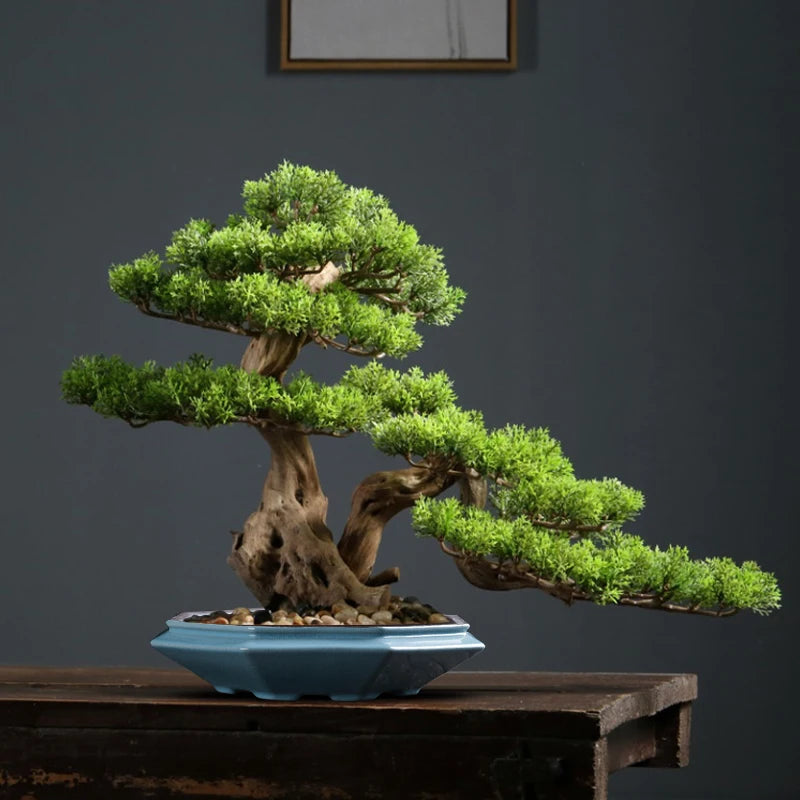A miniature green bonsai tree planted in a blue ceramic flower pot on a dark wooden surface.