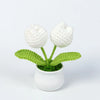 Hand woven white crochet flowers in green leaves potted in a white ceramic cup