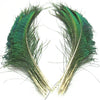 A pair of natural green and bronze peacock feathers displayed against a white background.