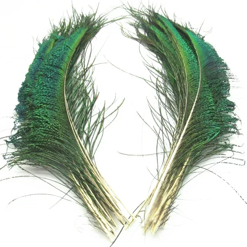 A pair of natural green and bronze peacock feathers displayed against a white background.
