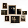 A collection of nine framed dark academia vintage canvas prints featuring moody Victorian-style paintings and figures.