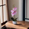 A pink orchid plant in a white pot sits on a wooden table next to a window.