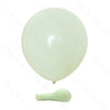 A single pale green latex balloon is shown next to its deflated, light green macaron-shaped balloon.