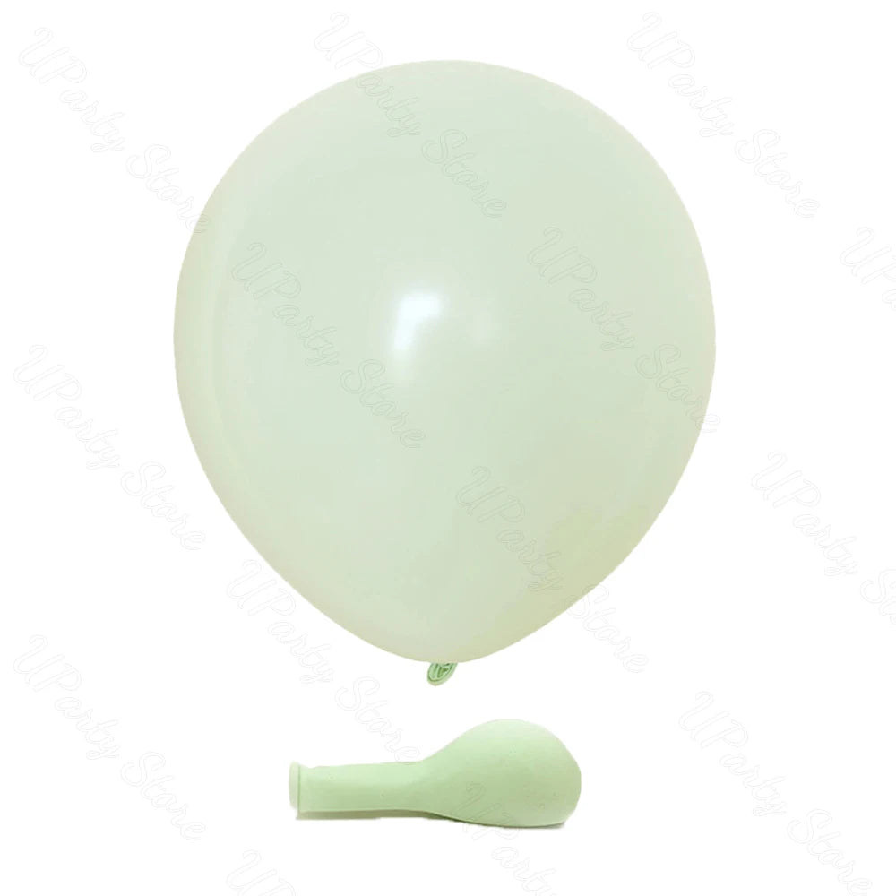 A single pale green latex balloon is shown next to its deflated, light green macaron-shaped balloon.