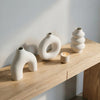 Wabi-Sabi Irregular 3D Printed Vase Set – Matte Minimalist Decor for Dried Flowers