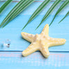 A yellow starfish is placed on a light blue wooden surface with green leaves in the background.