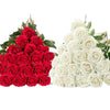 A display of 50 stems of artificial roses, featuring clusters of deep red and creamy white blooms.