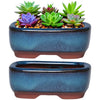 A ceramic succulent planter holding green and purple rosette succulents.