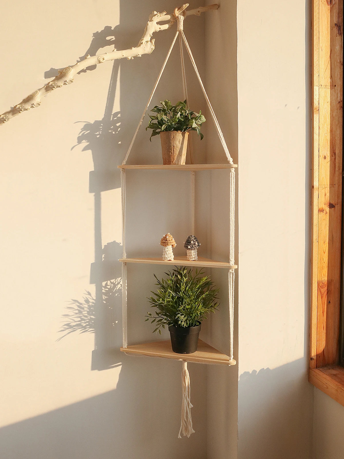 Étagère flottante en bois bohème avec plantes et petits objets décoratifs.