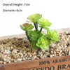 Artificial Succulent Bonsai for Desk & Home Decor