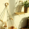 A macrame wood floating wall shelf with hanging rope displaying various natural elements and shadows.