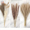 Dried flower bouquet featuring various shades of pampas grass and dried florals on a white marble background