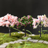 Miniature Fairy Garden Ornaments | Set of Resin Accents