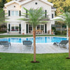Artificial golden palm trees planted in a lawn near a modern house and swimming pool.
