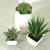Set of 3 Artificial Evergreen Bonsai Plants