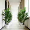 A hallway decorated with potted artificial palm trees featuring large monstera leaves.