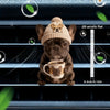 A brown dog wearing a beige knitted hat sitting in a cup, used as a vent clip decor.