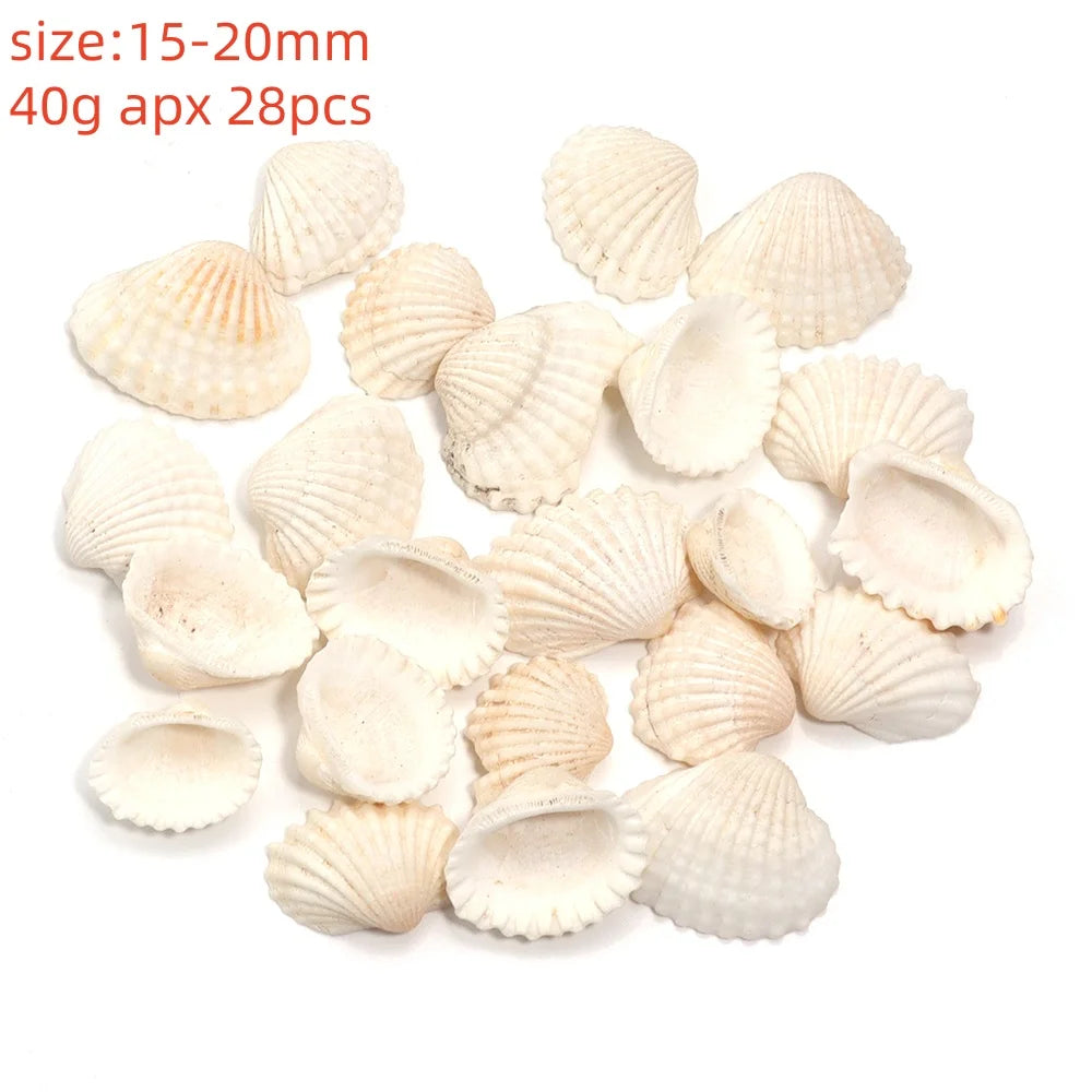 Natural Sea Snail Shell Beads for DIY Jewelry Making