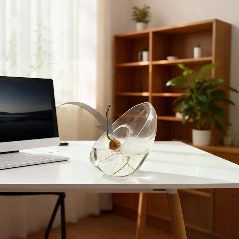 A clear glass vase holding a sprouting avocado seed, displayed on a white desk.