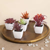 A set of mini artificial succulent decorations in various shades of green and red potted in white containers on a wooden tray