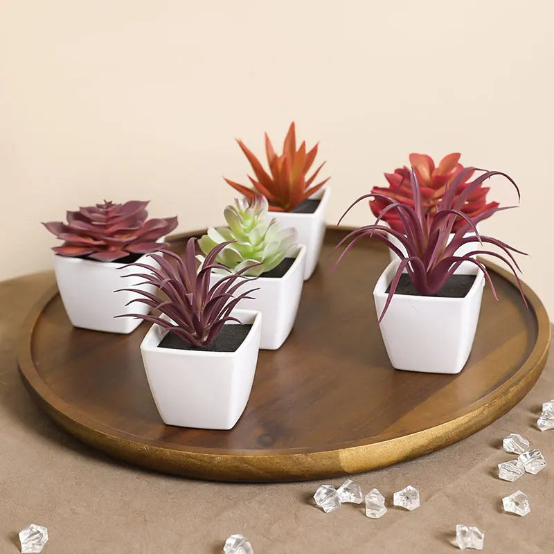 A set of mini artificial succulent decorations in various shades of green and red potted in white containers on a wooden tray