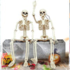A pair of poseable human skeleton decorations with movable bones displayed on a gray box.