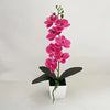 A potted plant featuring pink orchids with green stems and large dark leaves for home decor.