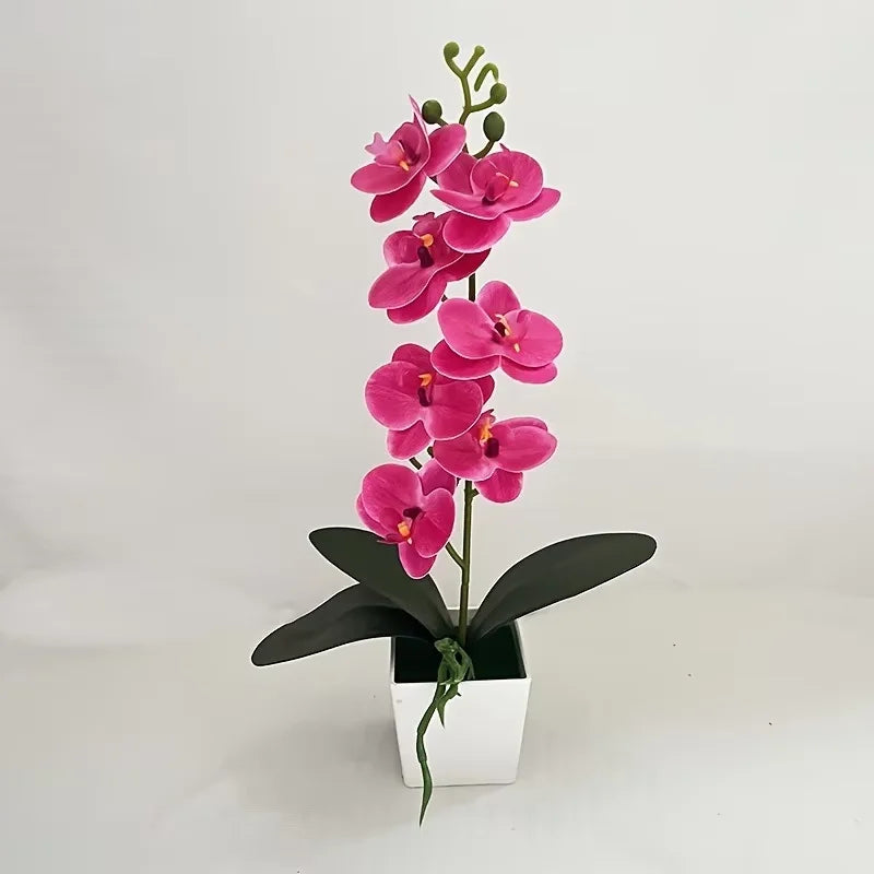 A potted plant featuring pink orchids with green stems and large dark leaves for home decor.