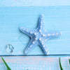 A light blue starfish and a clear shell are displayed on a wooden surface.
