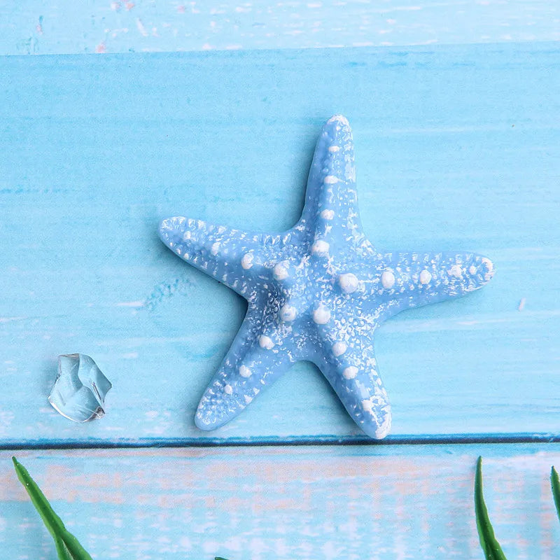 A light blue starfish and a clear shell are displayed on a wooden surface.