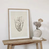 A framed canvas print featuring a delicate botanical illustration of dried flowers on a light background.
