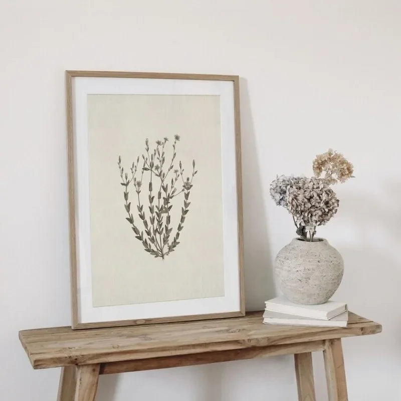 A framed canvas print featuring a delicate botanical illustration of dried flowers on a light background.