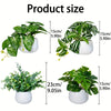 Four images showing the size of artificial bonsai succulent plants in white pots.