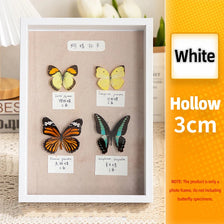 Un marco de fotos blanco muestra varios especímenes de mariposas sobre un fondo claro.