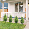 Two artificial green fern stakes are planted in a lawn next to a white porch railing and siding.